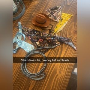 Small Dog accessories